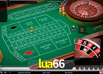 A Experiência Imersiva dos Cassinos Ao Vivo no lua66